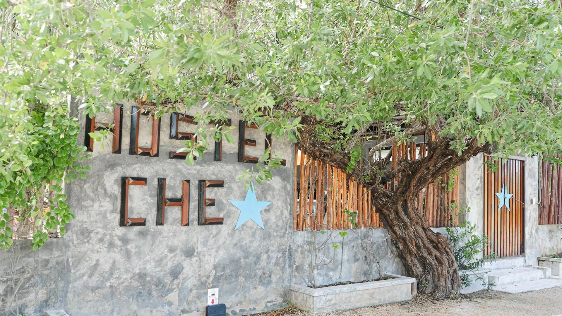 Che Holbox Hostel & Bar Adults Only  Isla Holbox